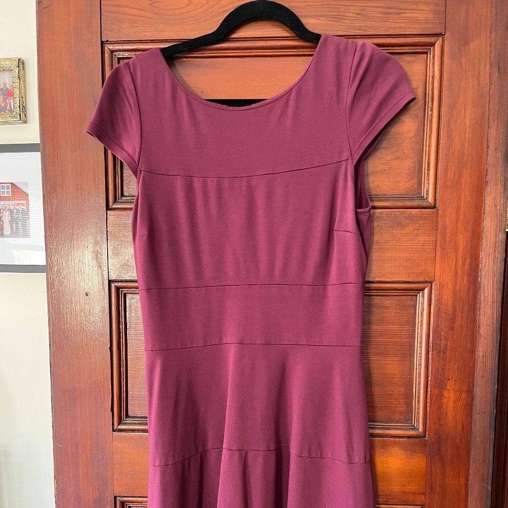 Purple Banana Republic Cotton Dress
